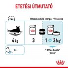 Royal Canin Sensory Feel macska tasak zselés 12x85g