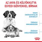 Royal Canin Size Health Nutrition Medium starter Mother&Babydog száraz kutyaeledel 15kg