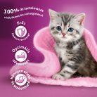 Whiskas macska tasak MP junior húsos 4x85g