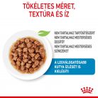 Royal Canin Size Health Nutrition X-Small puppy kutya tasak 12x85g