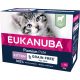 Eukanuba macska tasak MP kitten Grain Free bárány 12x85g