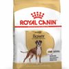 Royal Canin Breed Health Nutrition Boxer adult száraz kutyaeledel 12kg
