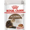 Royal Canin Feline Health Nutrition macska tasak 12+ Ageing 12x85g