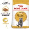 Royal Canin Feline Breed Nutrition Brit rövidszőrű adult száraz macskaeledel 400g