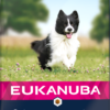 Eukanuba száraz kutyaeledel Small&Medium Breeds adult bárány&rizs 12kg