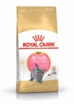 Royal Canin Feline Breed Nutrition Brit rövidszőrű kitten száraz macskaeledel 2kg