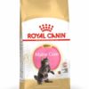 Royal Canin Feline Breed Nutrition Maine Coon kitten száraz macskaeledel 2kg