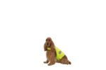 AniOne kutyamellény fényvisszaverő Safety M 58-66cm