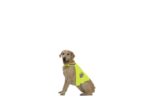 AniOne kutyamellény fényvisszaverő Safety L 60-78cm