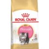 Royal Canin Feline Breed Nutrition Perzsa kitten száraz macskaeledel 400g