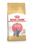 Royal Canin Feline Breed Nutrition Brit rövidszőrű kitten száraz macskaeledel 400g
