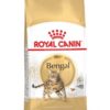 Royal Canin Feline Breed Nutrition Bengáli adult száraz macskaeledel 400g