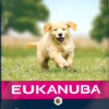Eukanuba Large Breeds száraz kutyaeledel puppy bárány&rizs 12kg