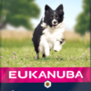 Eukanuba Small&Medium Breeds száraz kutyaeledel senior bárány&rizs 12kg