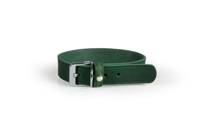 Das Lederband kutyanyakörv Weinheim zöld 28-34cm