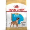 Royal Canin Breed Health Nutrition Boxer száraz kutyaeledel junior 12kg