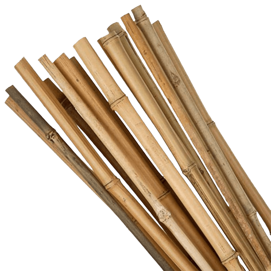 Bambusz 60x2,5cm