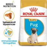 Royal Canin Breed Health Nutrition Mopsz puppy száraz kutyaeledel 500g