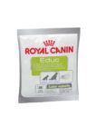 Royal Canin Educ kutya jutalomfalat 50g