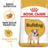Royal Canin Breed Health Nutrition Bulldog száraz kutyaeledel adult 3kg