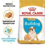 Royal Canin Breed Health Nutrition Bulldog száraz kutyaeledel puppy 3kg