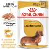 Royal Canin Breed Health Nutrition Tacskó adult kutya tasak 12x85g