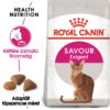 Royal Canin Feline Health Nutrition Exigent Savour adult száraz macskaeledel 400g